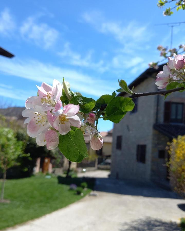 Villa La Pomella à Ponte Nizza Extérieur photo